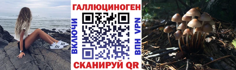 наркота  Димитровград  Псилоцибиновые грибы мицелий 